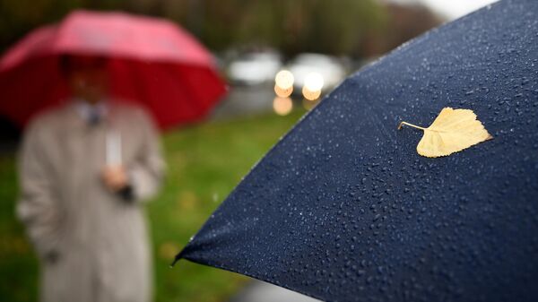Лист на зонтике пешехода во время дождя. Архивное фото - Sputnik Кыргызстан