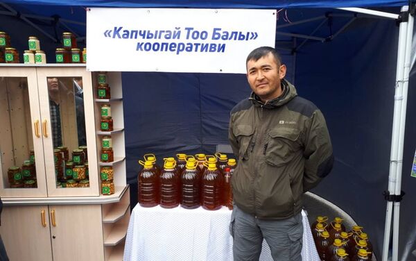 Бүгүн Кара-Кулжанын борбордук аянтында Бал фестивалы өтүп жатат - Sputnik Кыргызстан