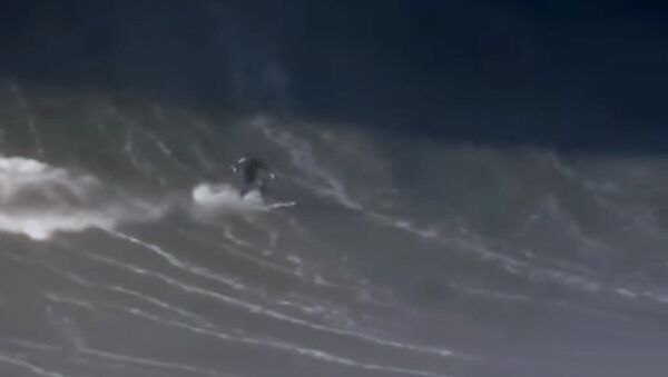 Серфингист сломал позвоночник, пытаясь покорить огромную волну, — видео - Sputnik Кыргызстан