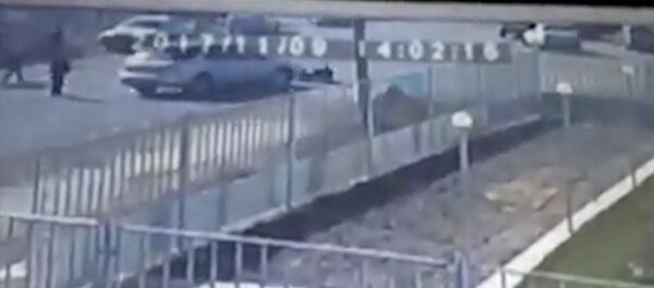 Жумгалда окуучуну унаа кагып, айдоочусу качып кеткен кырсыктын видеосу - Sputnik Кыргызстан