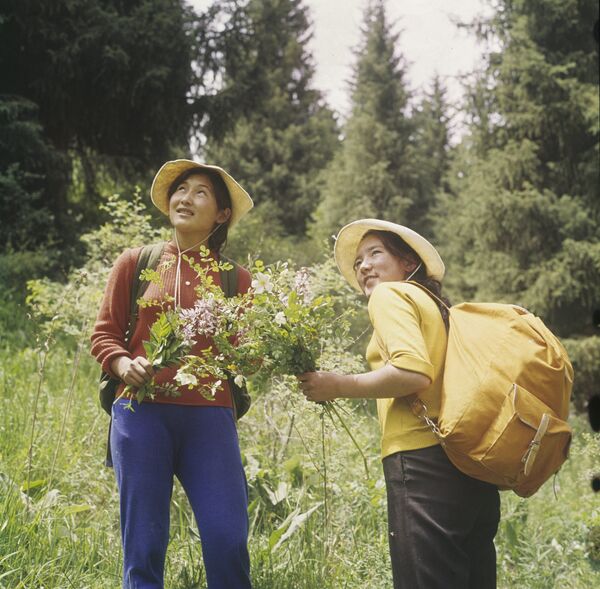 Девушки собирают цветы во время экскурсии по горам Иссык-Кульской области, начало 1980-х - Sputnik Кыргызстан