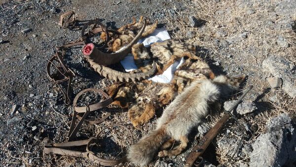 Рейд по выявлению браконьерства в Нарыне - Sputnik Кыргызстан