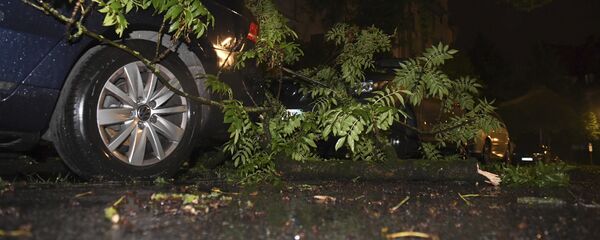 Дерево упало на машину ночью. Архивное фото Дерево упало на машину ночью. Архивное фото - Sputnik Кыргызстан