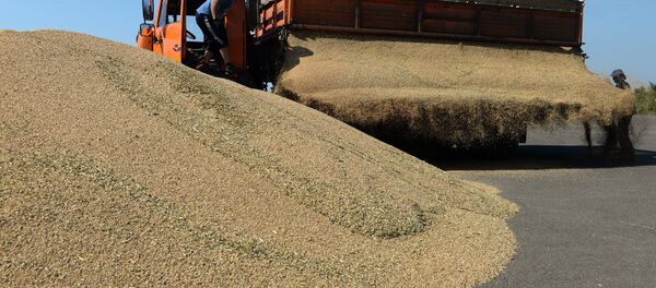 Уборка урожая зерна. Архивное фото - Sputnik Кыргызстан