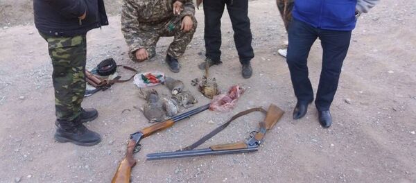 Браконьерство в Кыргызстане - Sputnik Кыргызстан