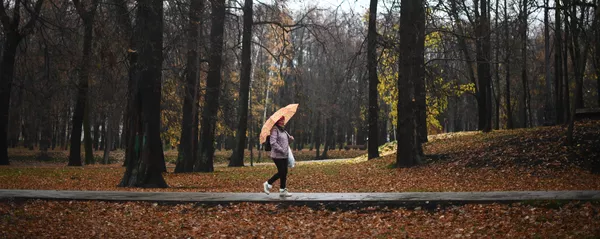 Дождь в Москве - Sputnik Кыргызстан