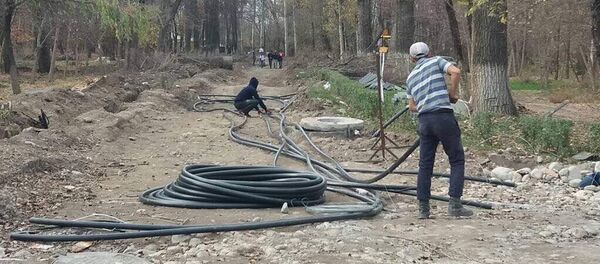 Процесс реконструкции парка Карагачевая роща идет полным ходом Процесс реконструкции парка Карагачевая роща идет полным ходом - Sputnik Кыргызстан