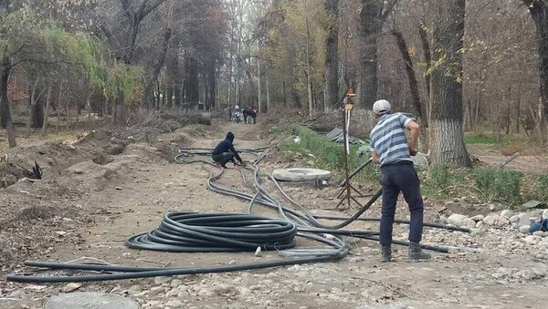 Процесс реконструкции парка Карагачевая роща идет полным ходом - Sputnik Кыргызстан