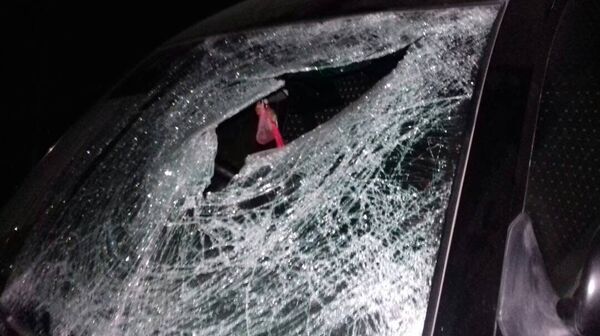 На Иссык-Куле сбили пешехода - Sputnik Кыргызстан