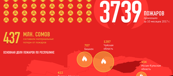 Причины и последствия пожаров в Кыргызстане - Sputnik Кыргызстан