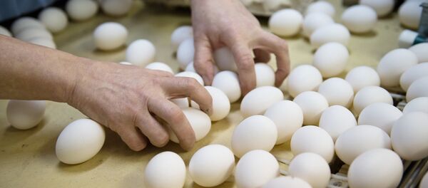 Жумуртка. Архив - Sputnik Кыргызстан