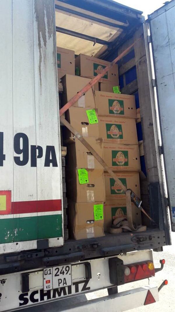 Пресечение грузов с яйцами из Казахстана в Кыргызстан - Sputnik Кыргызстан