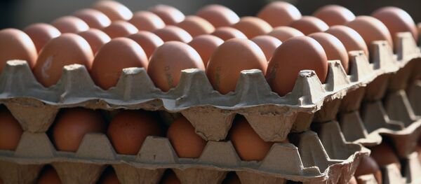 Продовольственная ярмарка в Саранске - Sputnik Кыргызстан