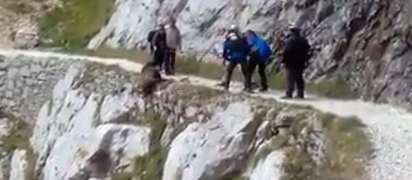 Туристы жестоко расправились с кабаном, столкнув его с горы, — видео - Sputnik Кыргызстан