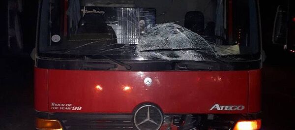 Наезд грузовика на пешехода в Чуйской области - Sputnik Кыргызстан