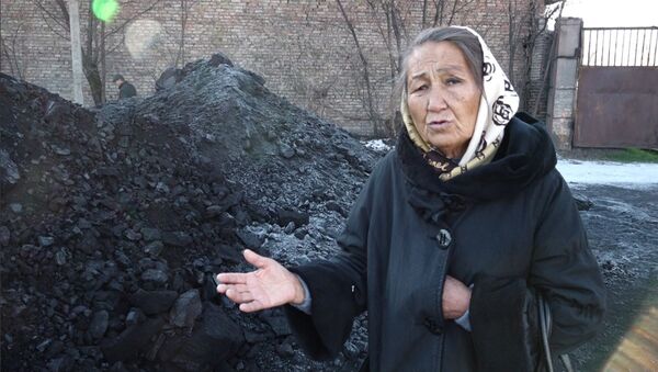 Баш ооруткан акысыз көмүр. Майыптар менен пенсионерлер өкмөттүн отунуна нааразы - Sputnik Кыргызстан