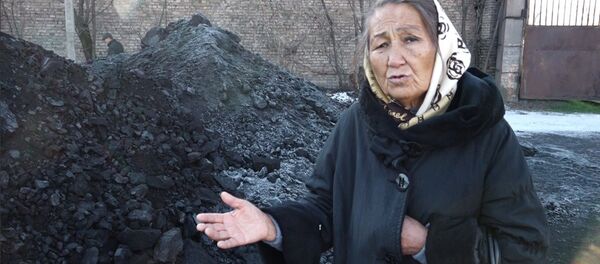 Баш ооруткан акысыз көмүр. Майыптар менен пенсионерлер өкмөттүн отунуна нааразы - Sputnik Кыргызстан