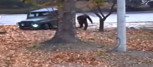 Настоящий боевик — в Сети появилось видео побега пограничника из КНДР - Sputnik Кыргызстан