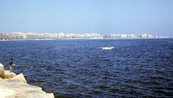 Вид на город-порт Александрию - Sputnik Кыргызстан