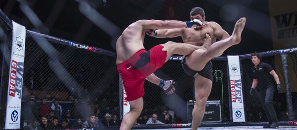 Турнир WEF Global 10: Воины великого шелкового пути в Бишкеке - Sputnik Кыргызстан