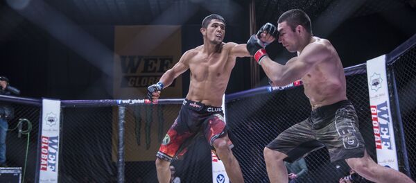 Турнир WEF Global 10: Воины великого шелкового пути в Бишкеке Турнир WEF Global 10: Воины великого шелкового пути в Бишкеке - Sputnik Кыргызстан