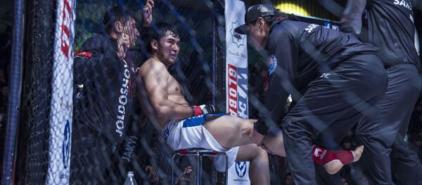 Турнир WEF Global 10: Воины великого шелкового пути в Бишкеке - Sputnik Кыргызстан