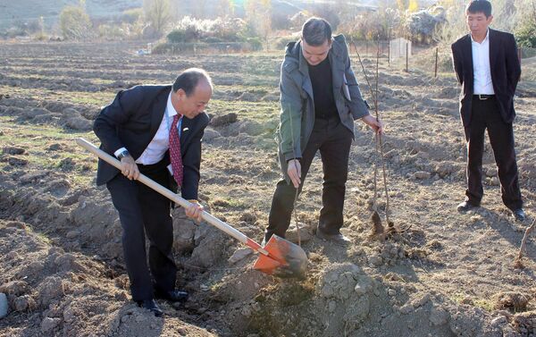По словам директора учреждения Бактыбека Джунушева, земельный участок рядом с интернатом долгое время оставался нетронутым. - Sputnik Кыргызстан