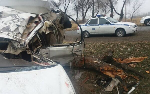 На выезде из совхоза Ала-Тоо недалеко от Бишкека автомобиль врезался в дерево - Sputnik Кыргызстан