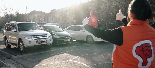 Как активисты делали водителей и пешеходов культурнее — видео Как активисты делали водителей и пешеходов культурнее — видео - Sputnik Кыргызстан
