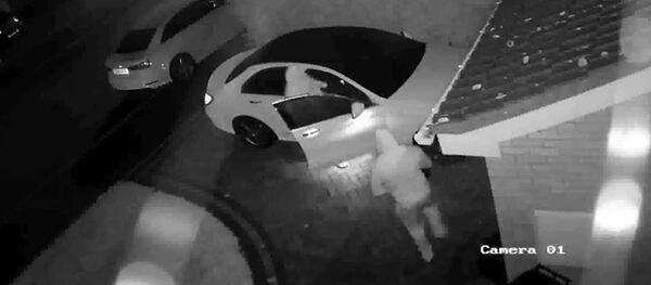 Угнать за 60 секунд: воры украли авто менее чем за минуту — видео - Sputnik Кыргызстан