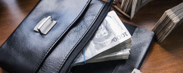 Обращение сома в Кыргызстане - Sputnik Кыргызстан