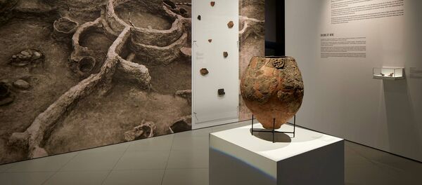 Болжол менен биздин заманга чейинки 6000-5800-жылдарга таандык делген вино идиши. Архив - Sputnik Кыргызстан