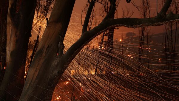 Лесной пожар в Калифорнии - Sputnik Кыргызстан