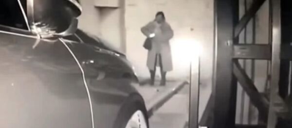 Кытайлык кыз телефондон көз албай баратып адашып кетти. Видео - Sputnik Кыргызстан