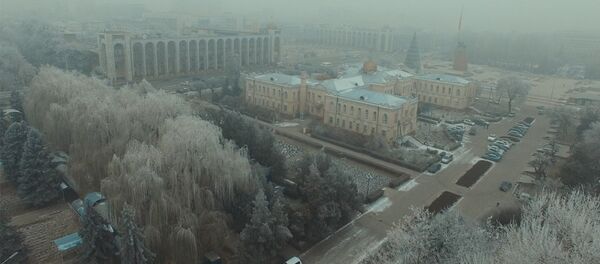 Словно в сказке! Посмотрите, как изморозь украсила Бишкек - Sputnik Кыргызстан