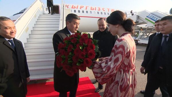 Жээнбекова в аэропорту Ташкента встретила девушка с цветами — видео - Sputnik Кыргызстан
