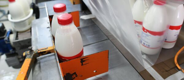 Агрохолдинг РПЦ по производству молочной продукции Зеленоградское в Московской области - Sputnik Кыргызстан