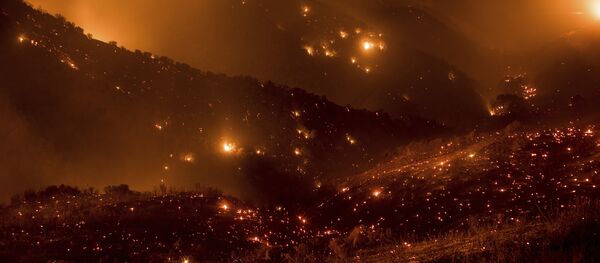 Лесные пожары в Калифорнии - Sputnik Кыргызстан
