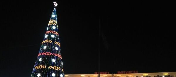 Церемония зажжения новогодней елки в Оше Церемония зажжения новогодней елки в Оше - Sputnik Кыргызстан