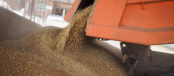 Уборка зерновых в Краснодарском крае - Sputnik Кыргызстан