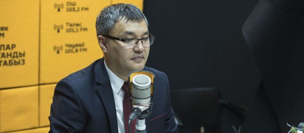 Экономика министринин орун басары Данияр Иманалиев - Sputnik Кыргызстан