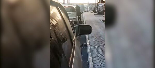 Девушка устроила дебош в Бишкеке — ее связали и увезли. Видео - Sputnik Кыргызстан