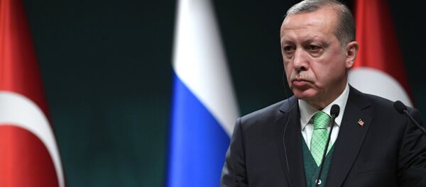 Түркияда президент Режеп Тайип Эрдогандын архивдик сүрөтү - Sputnik Кыргызстан