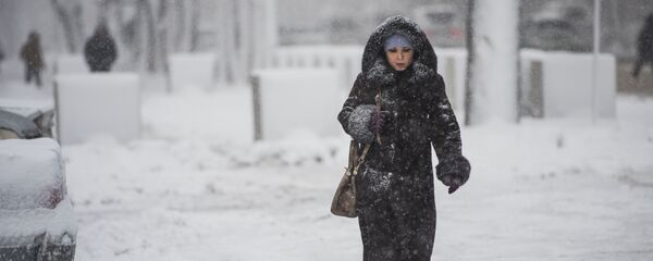 Обильный снегопад в Бишкеке - Sputnik Кыргызстан