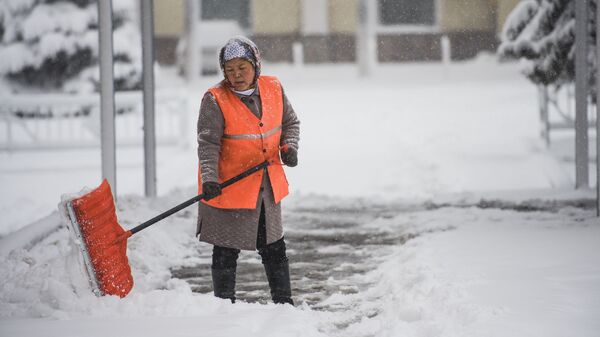 Обильный снегопад в Бишкеке - Sputnik Кыргызстан