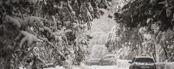 Припаркованный автомобиль на проспекте Эркиндик во время снегопада в Бишкеке. Архивное фото - Sputnik Кыргызстан