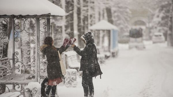 Пара на одной из улиц Бишкека во время снегопада. Архивное фото - Sputnik Кыргызстан
