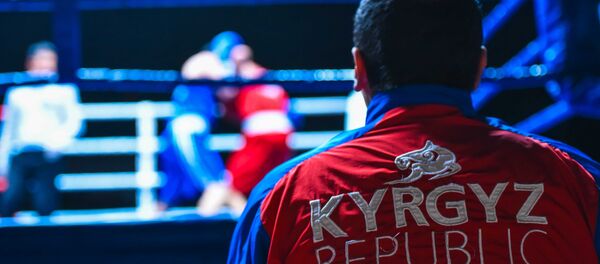 Рингден жолугабыз! Дүйнөнү муштуму менен дүңгүрөтүп жаткан боксчулар ким? - Sputnik Кыргызстан