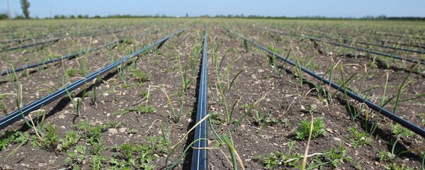 Ситуация с пресной водой в Крыму - Sputnik Кыргызстан