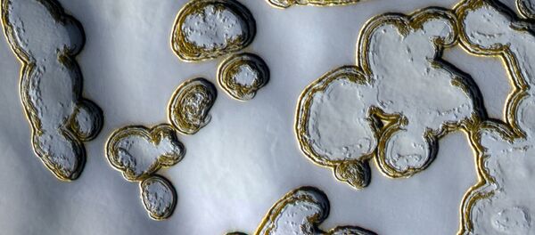 Фотографии заснеженного Марса - Sputnik Кыргызстан